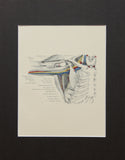 Matted Antique (c.1897) Anatomy Print, Plate XXIX: The Axilla with Biceps