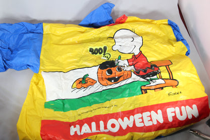 Peanuts Charlie Brown Halloween Costume with Mask by Ben Cooper, 1965 (In Box)