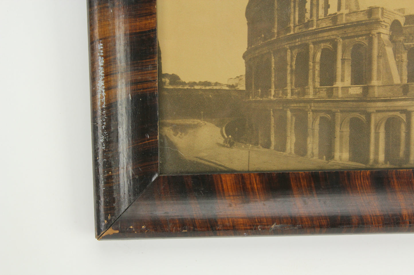 Antique Framed Photograph Print of the Colosseum Ruins, Rome, Italy - 16 x 11"