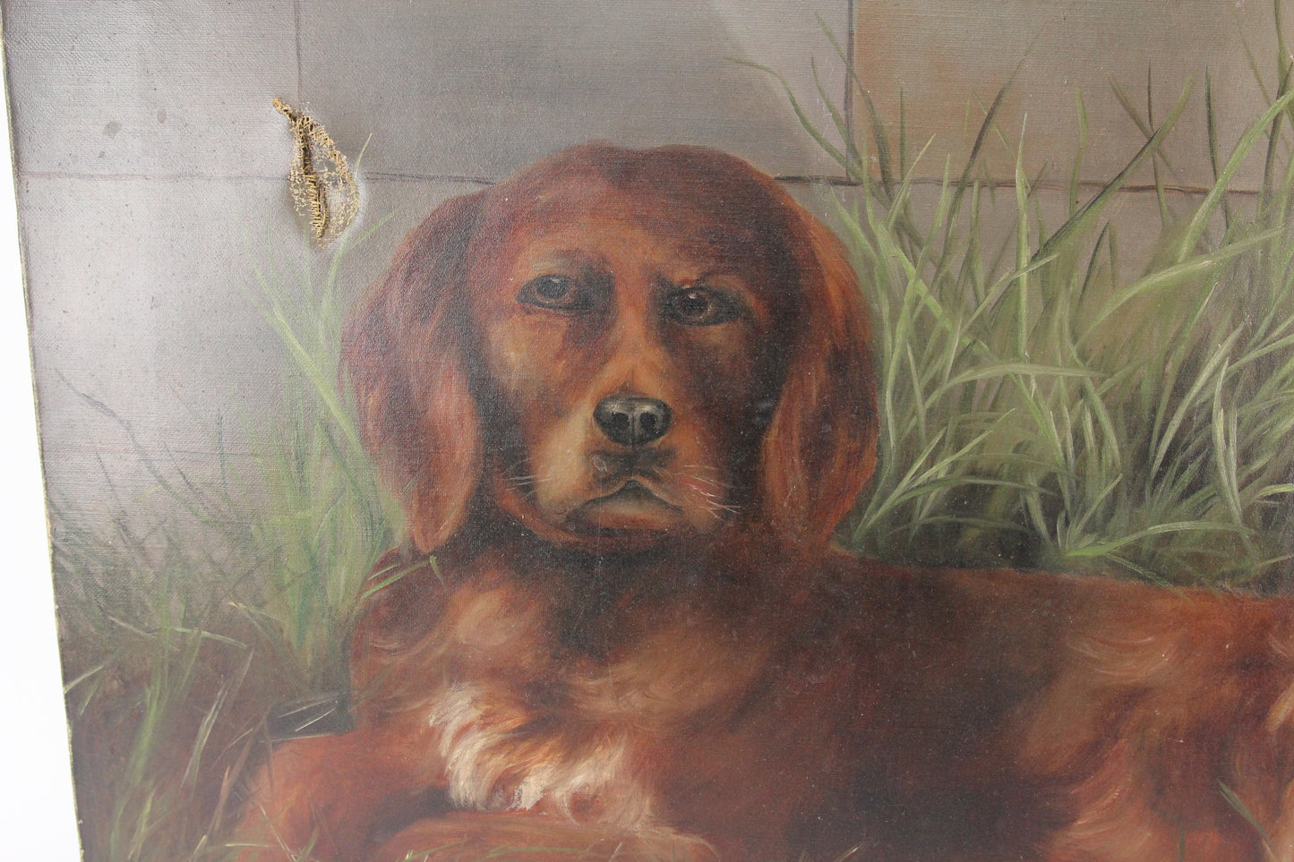 Antique Oil on Canvas Painting of Two Dogs in the Grass, Unsigned - 40 x 30"