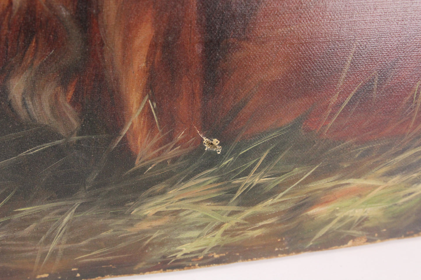 Antique Oil on Canvas Painting of Two Dogs in the Grass, Unsigned - 40 x 30"