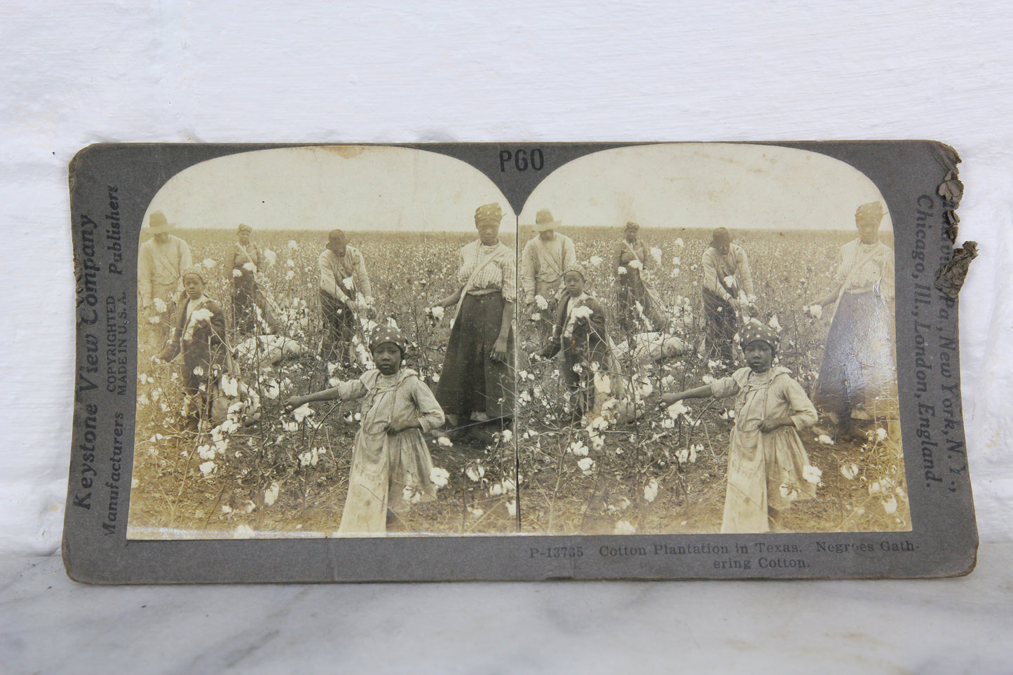 Gathering Cotton on a Southern Plantation, Dallas, Texas - Keystone Stereo Card