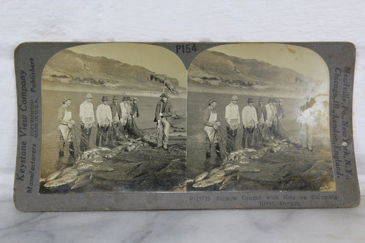 Salmon Caught with Nets on Columbia River, Oregon - Keystone Stereo Card