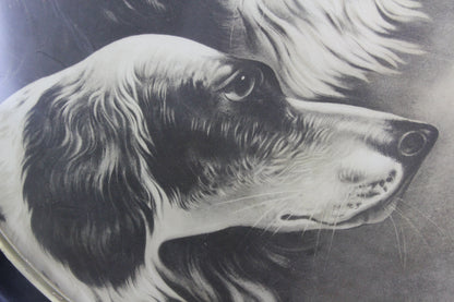 Pharaoh's Dogs Print in Round Frame - 20.5" x 20.5"