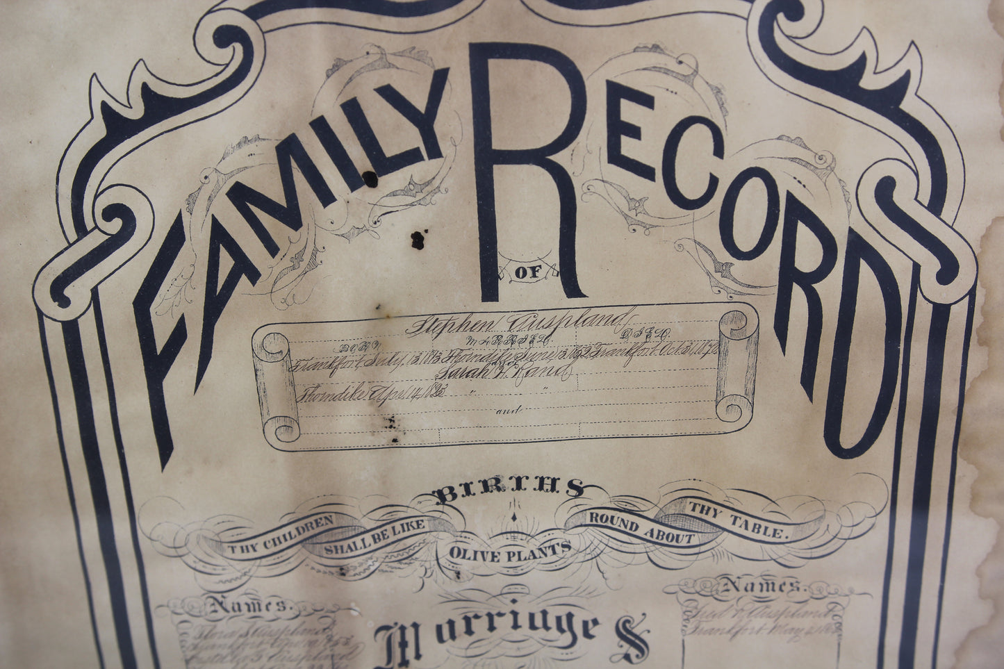 Family Record of Stephen Auspland of Frankfort, Maine - Lithograph Copyright 1878 by John R. Staples - 17.75" x 20.5"