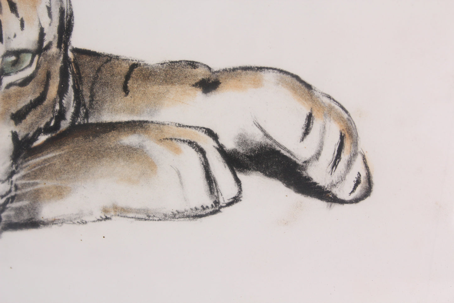 Jean-Camille Cipra Signed Resting Tiger Genuine French Etching - 31 x 21.5"