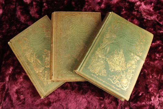 Episodes of Insect Life, Three Volume Set by L.M. Budgen, 1851, First American Edition