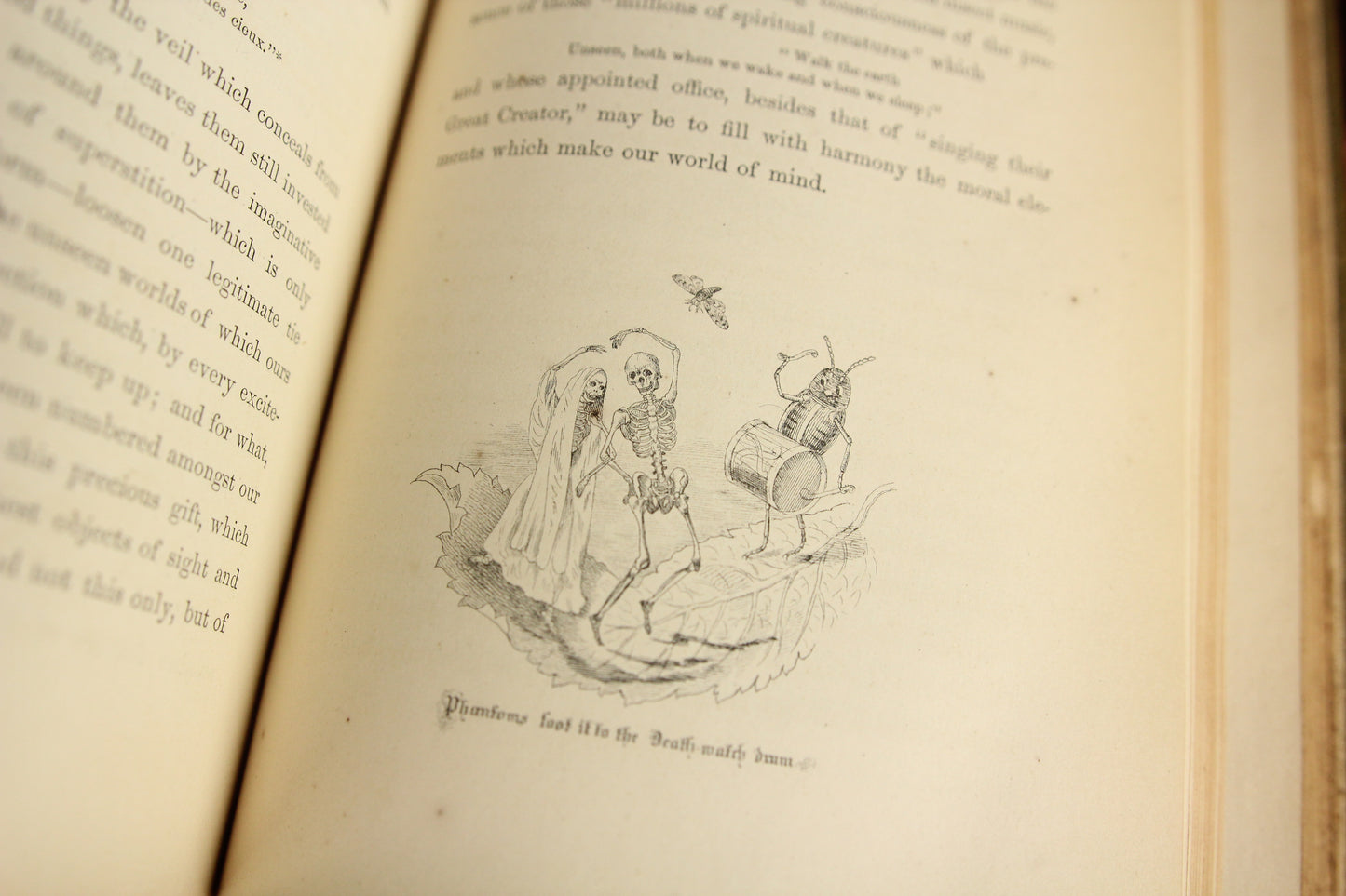 Episodes of Insect Life, Three Volume Set by L.M. Budgen, 1851, First American Edition