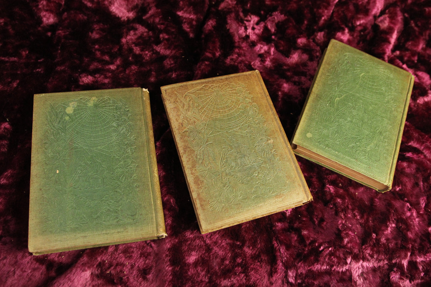 Episodes of Insect Life, Three Volume Set by L.M. Budgen, 1851, First American Edition