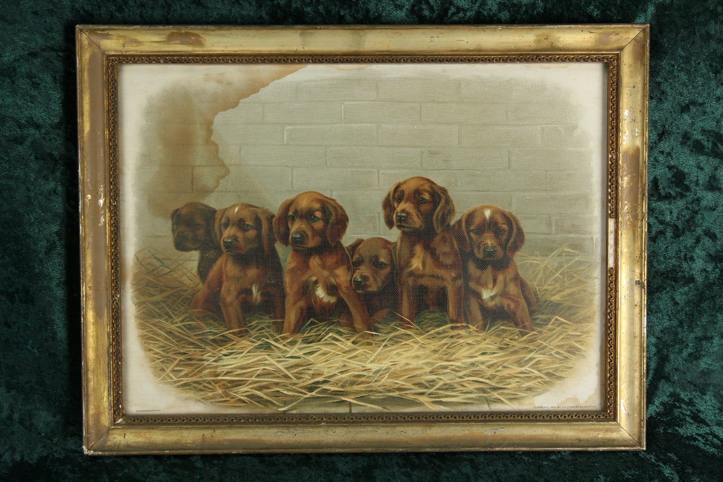 Folky Print of Dog Puppies