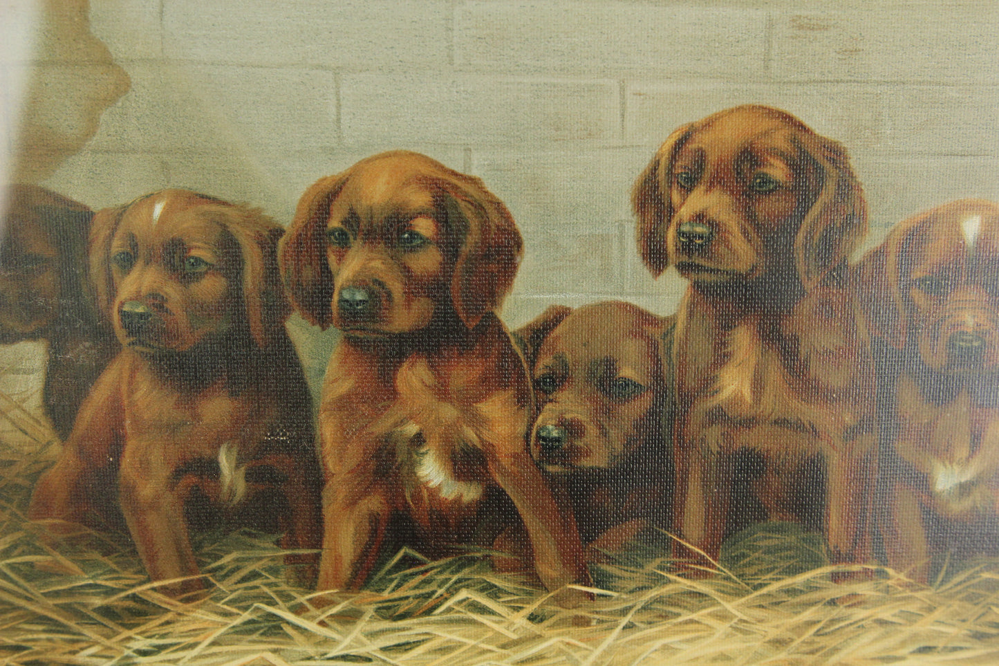 Folky Print of Dog Puppies