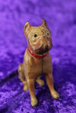 Antique Cropped Ear Pitbull Dog Cast Iron Still Coin Bank