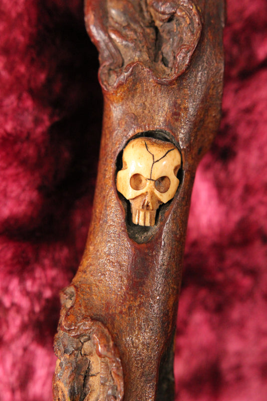 Vintage Burl Branch Walking Stick with Bone Skull Insert