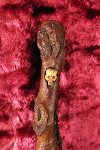 Vintage Burl Branch Walking Stick with Bone Skull Insert