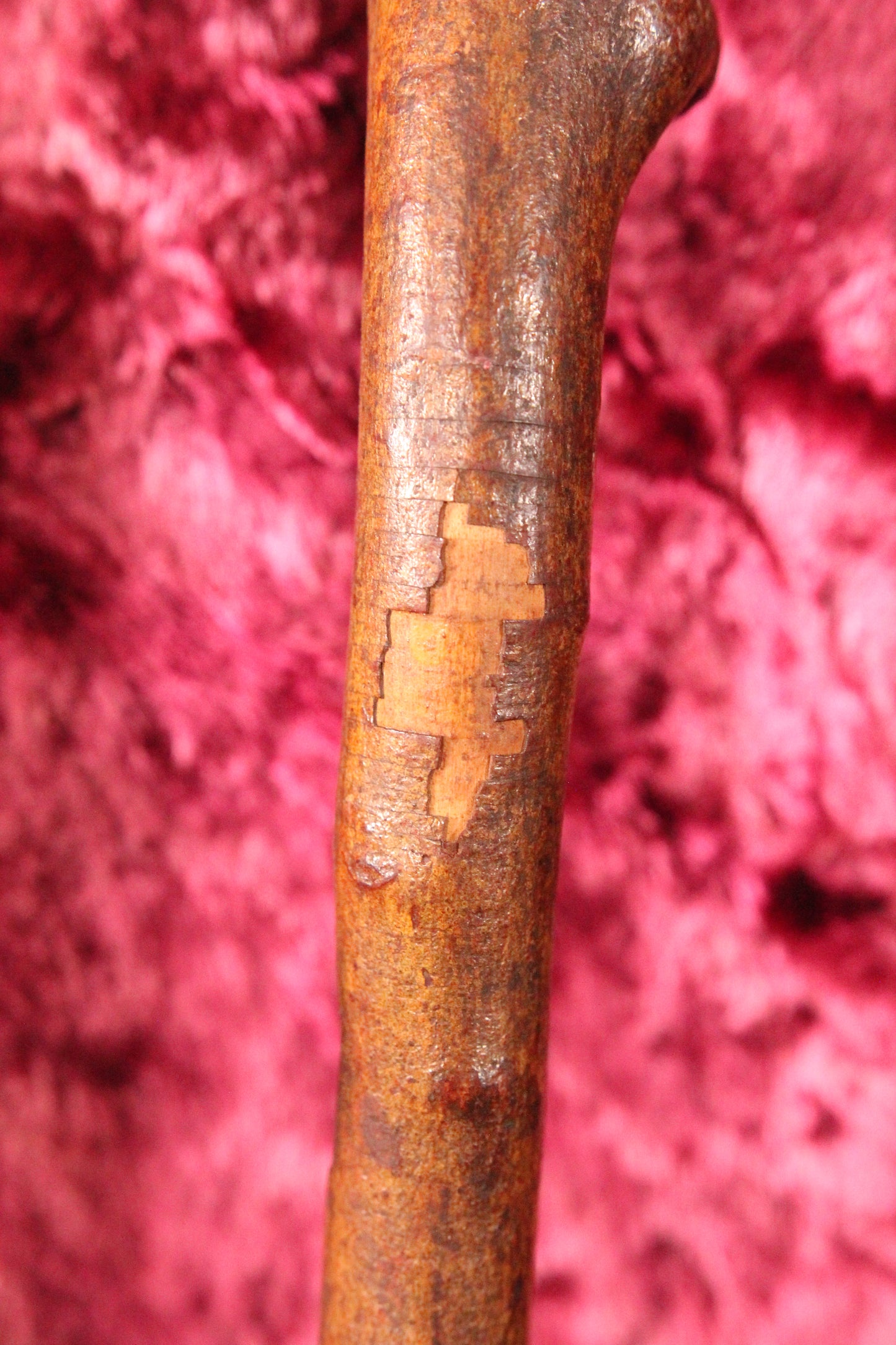 Vintage Burl Branch Walking Stick with Bone Skull Insert