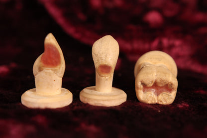 Antique Oversized Teaching Dentist Demonstration Plaster Teeth, Set of 16