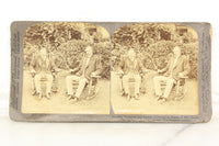 President Theodore Roosevelt and Senator Fairbanks Stereo Card, Underwood & Underwood, 1904