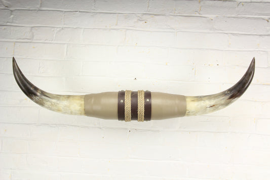 Vintage Bull Horn Taxidermy Mount with Rope, Leather, and Wood Adornments - 30" Span