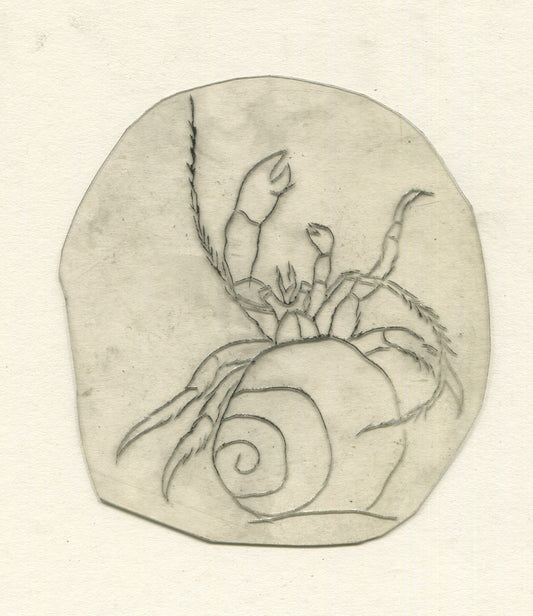 Hermit Crab Vintage Traditional Tattoo Acetate Stencil from Bert Grimm's Shop