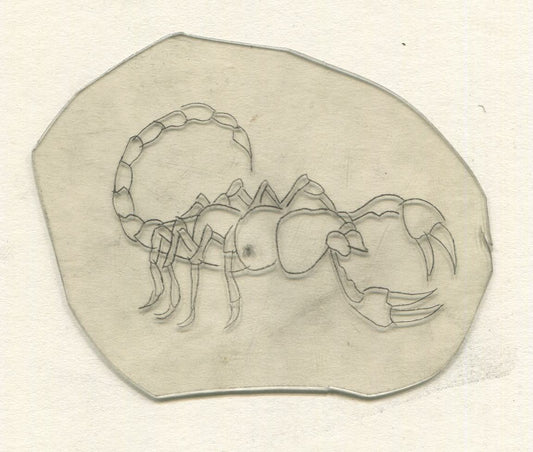 Scorpion Vintage Traditional Tattoo Acetate Stencil from Bert Grimm's Shop