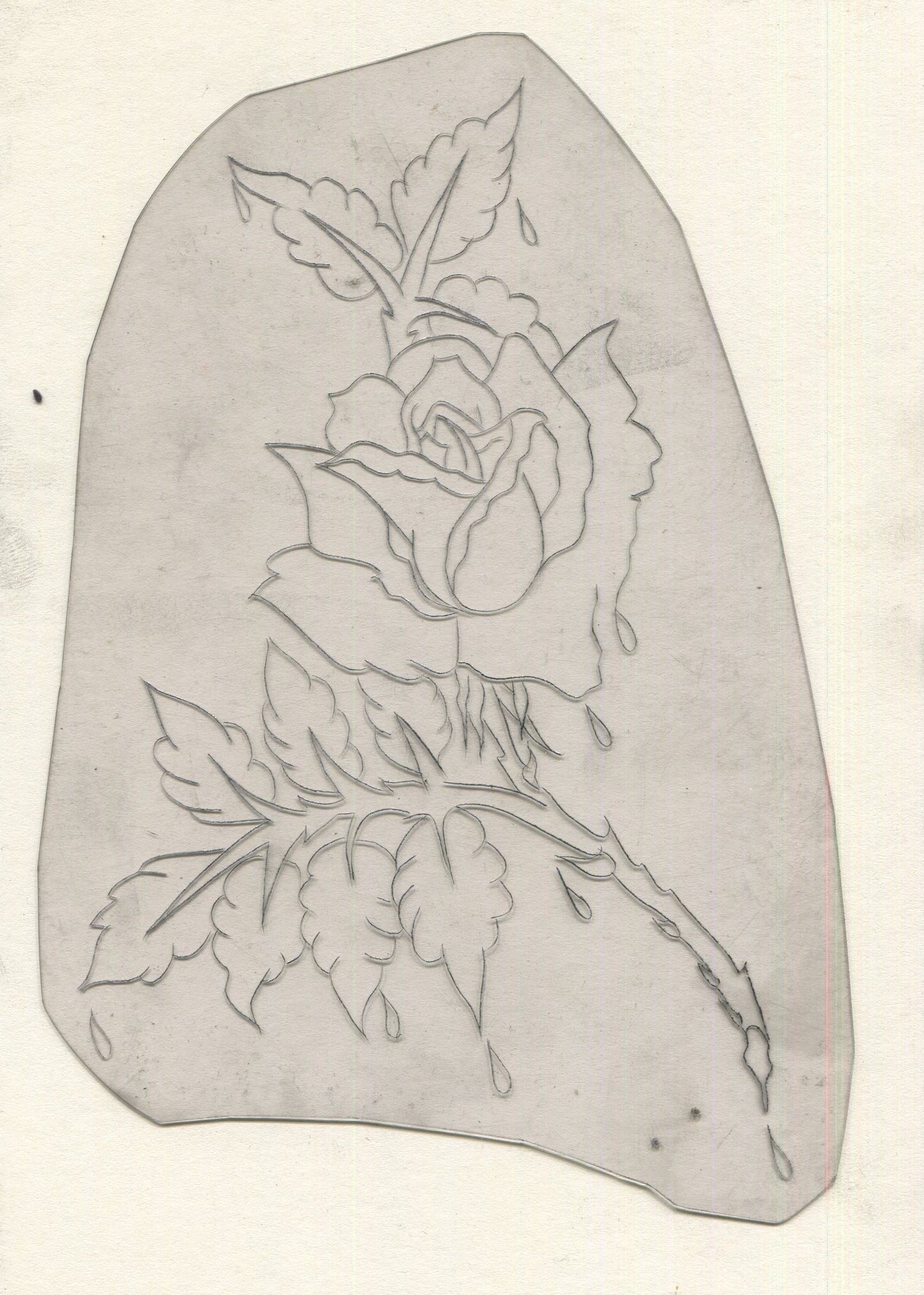 Bloody Rose Vintage Traditional Tattoo Acetate Stencil from Bert Grimm's Shop