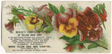 Dr. Morse's Compound Syrup, Providence, RI Antique Lithographed Trade Card
