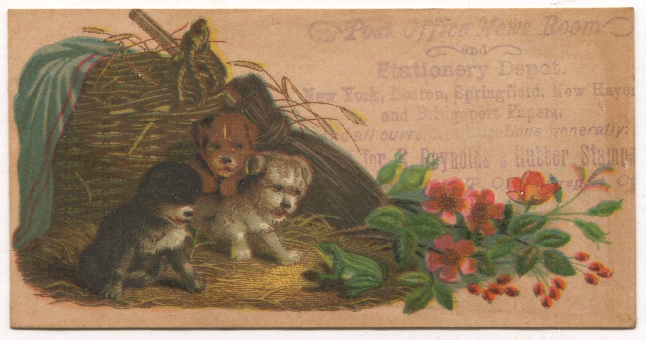 Post Office, News Room, & Stationary Antique Trade Card (Puppies) - 4.25" x 2"