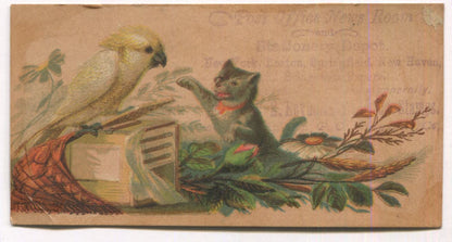 Post Office, News Room, & Stationary Antique Trade Card (Cat/Bird) - 4.25" x 2"