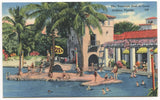 The Venetian Pool at Coral Gables, Florida Vintage Postcard