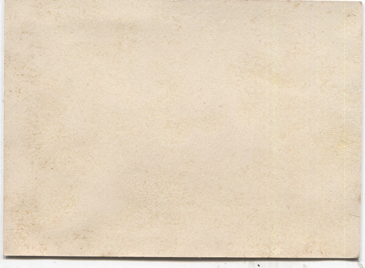 Jordan Marsh & Co. Antique Trade Card, Boston, MA (Fruit) - 4" x 3"