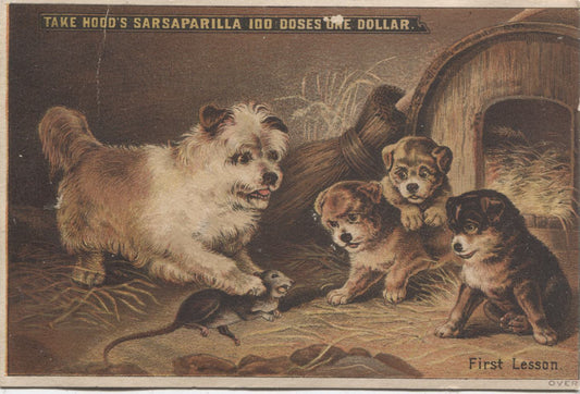 Hood's Sarsaparilla, French's North End Pharmacy Antique Trade Card, Brockton, MA - 3.25" x 4.75"