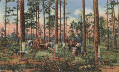 Georgia "The Empire State of the South" Vintage Souvenir Postcard Folder