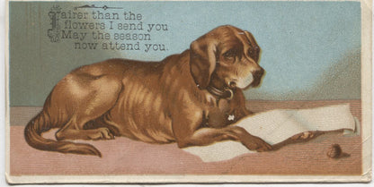 Lying Dog Antique Trade Card - 5" x 2.5"