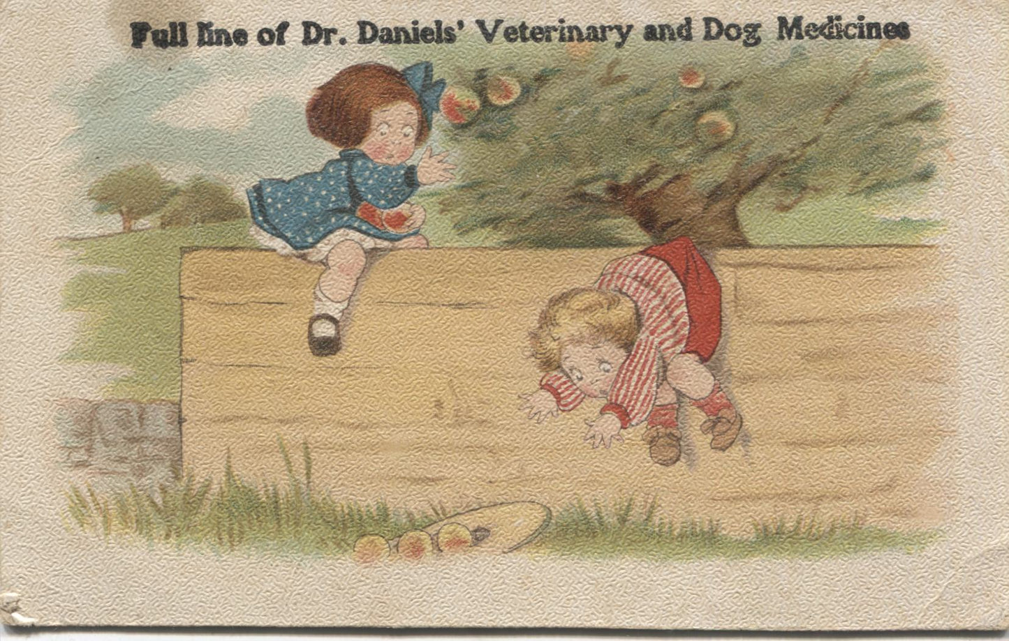 Dr. Daniels' Veterinary and Dog Medicine Antique Trade Card - 5.5" x 3.5"
