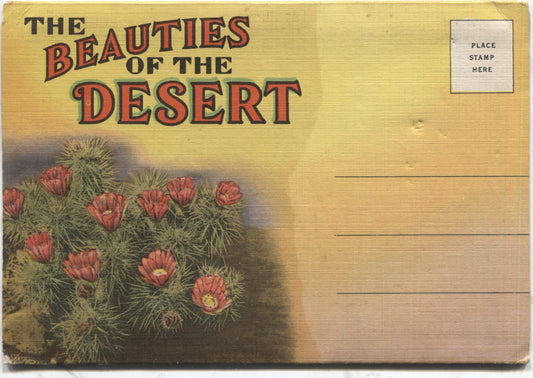 The Beauties of the Desert Cacti & Flora Vintage Souvenir Postcard Folder