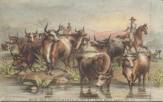 St. Louis Beef Canning Co. Antique Trade Card - 6" x 3.75"