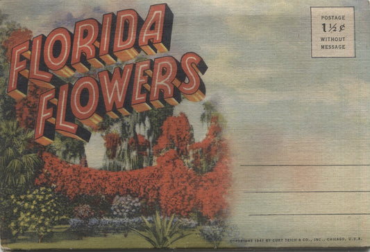 Florida Flowers Vintage Souvenir Postcard Folder