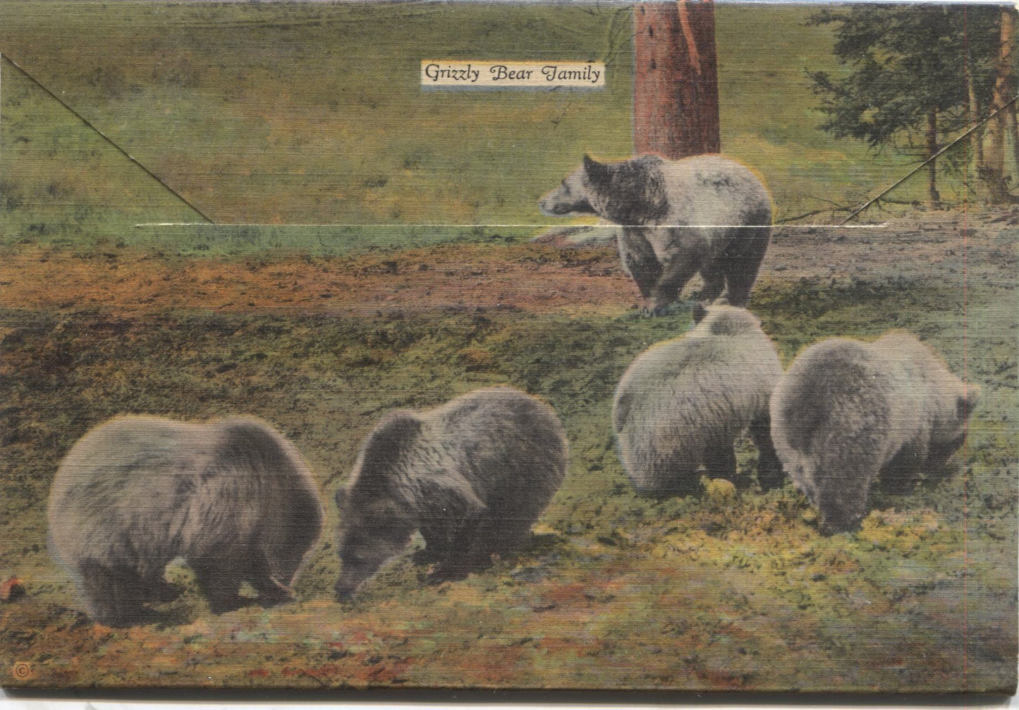 Yellowstone Park "Series A" Vintage Souvenir Postcard Folder