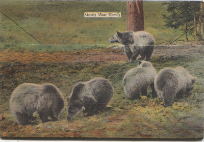 Yellowstone Park "Series A" Vintage Souvenir Postcard Folder