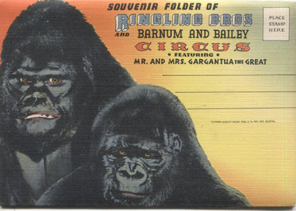 Ringling Bros and Barnum & Bailey Circus Vintage Souvenir Postcard Folder